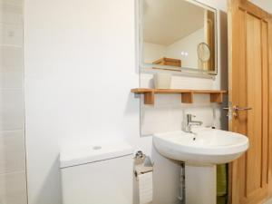 a bathroom with a sink and a mirror at The BullpenManor Farm in Salisbury