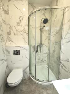 a bathroom with a shower and a toilet at Studio Serenity - Clim - WIFI - Parking - Piscine - Front de mer - Proche commerces et centre ville in Fréjus +11 photos