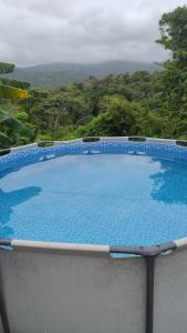 a large swimming pool with a view of the jungle at HOSTAL MIRADOR dentro del parque tayrona in El Zaino