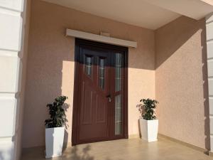 a door with two potted plants in front of a building at Rent rooms Loren in Vlorë