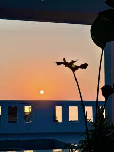 a silhouette of a train with the sunset in the background at Hakuna Matata Guest House in Tamraght Ouzdar +22 photos