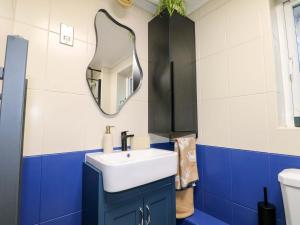a bathroom with a sink and a mirror at Farnham Park Apartment in Farnham +8 photos