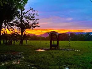 a stand in a field with a sunset in the background at Donde Dubon Pandi house in Puerto Jiménez