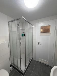a shower with a glass door in a bathroom at 5-Täler Stern in Geislingen an der Steige