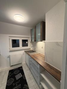 a kitchen with a sink and a counter top at 5-Täler Stern in Geislingen an der Steige +6 photos