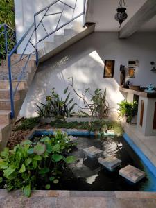 a koi pond in the middle of a house at Villa Mosaic in Tangalle +46 photos