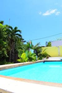 a swimming pool at a resort with palm trees at Dive and Green Capurgana in Capurganá +61 photos