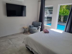 a bedroom with a bed and a chair and a television at Frankie's Nest in Cape Town