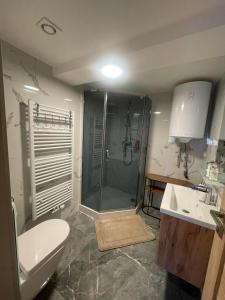 a bathroom with a shower and a toilet and a sink at Apartmány u Náměstí in Chřibská +60 photos