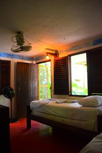a bedroom with two beds and two windows at Dive and Green Capurgana in Capurganá