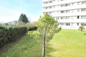 a small tree in the grass in front of a building at Arrábida Luxury Studio in Vila Nova de Gaia