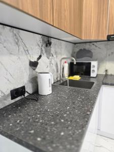 a kitchen with a counter top with a toaster and a microwave at Svobody 5 in Uzhhorod