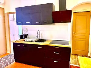 a kitchen with black cabinets and a sink at Brise Douce in Perpignan