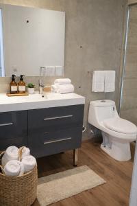 a bathroom with a sink and a toilet and a mirror at Garden views in Juriquilla