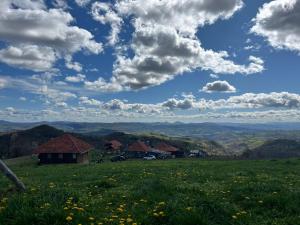 a green field with houses on a hill with flowers at Šebovina Jelova gora in Starčevići +24 photos