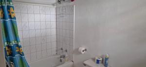 a bathroom with a shower and a tub and a toilet at Villas De Morne St Lucia in Grande Rivière