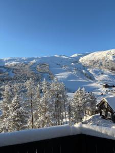 a view of a snow covered valley with trees at Mountain apartment in Vaga