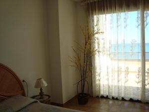 - une chambre dotée d'une fenêtre avec une plante en face dans l'établissement Alpen1 Paraiso, à Peñíscola