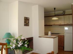una cocina con un jarrón de flores en una habitación en Alpen1 Paraiso, en Peñíscola