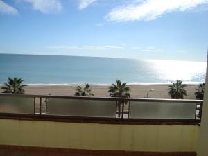 - une vue sur la plage bordée de palmiers et l'océan dans l'établissement Alpen1 Paraiso, à Peñíscola