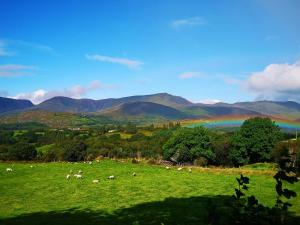 a herd of animals grazing in a field with a rainbow at 3 Bed in Sneem oc-i426 in Tullakeel