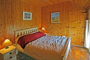 a bedroom with a bed in a wooden wall at 3 Bed in Portmagee oc-i172 in Valentia Island
