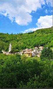 a small town in the middle of a green hill at La Casa Di Edy in Borzonasca +18 photos