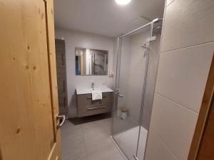 a bathroom with a glass shower and a sink at Alpen Appartements in Embach +34 photos