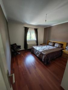 a bedroom with a large bed and a window at Casa Flamingo in Viseu +24 photos