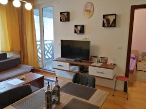a living room with a flat screen tv and a couch at Apartman Foka Spa in Brzeće