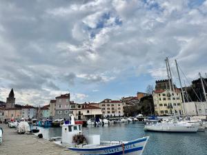 a group of boats docked in a harbor with buildings at Apartment LA DIMORA DEI PESCATORI in Muggia
