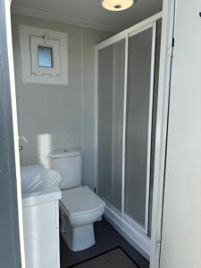 a white bathroom with a toilet and a sink at Cornwalls Vintage Camping Bus in Delabole