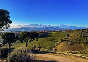 a view of a field with mountains in the distance at B&B Villa Elianto in Notaresco