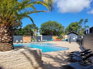 a swimming pool with lounge chairs and a palm tree at La casa du clos in La Bernerie-en-Retz