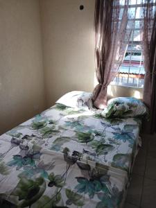 a bed with a floral comforter in front of a window at Turtle Bay in Bridgetown