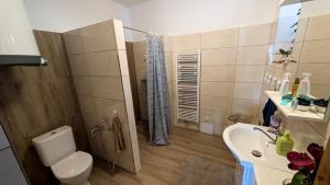 a small bathroom with a toilet and a sink at Statek Osmička in Dolní Hořice +15 photos