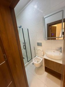 a bathroom with a toilet and a sink and a shower at Luxury Four Bedroom Duplex in Asokoro Abuja in a Secure Estate with Fast WiFi & 24hours Electricity in Asokoro +14 photos