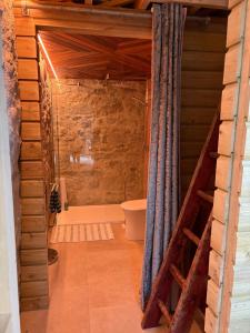 a bathroom with a shower with a toilet in it at Neds Barn in Galway
