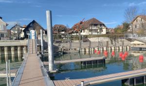 a dock with red buoys in the water at Seeloge mit Dachterrasse direkt am Westhafen in Hagnau am Bodensee in Hagnau +8 photos
