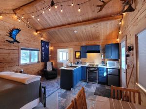 a kitchen with blue cabinets in a log cabin at Little Bear Getaway Cabins in Glacier View