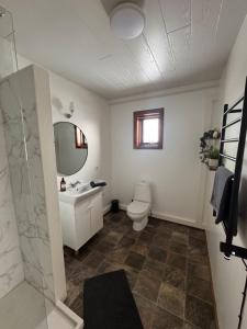 a bathroom with a toilet and a sink and a mirror at Guesthouse Myrkholt II in Tungufell