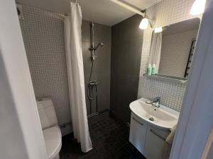 a bathroom with a toilet and a sink and a shower at Tiny flat - in medieval Ystad in Ystad