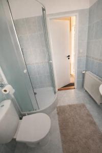 a bathroom with a toilet and a shower and a sink at Apartmán U Onky in Luhačovice +6 photos