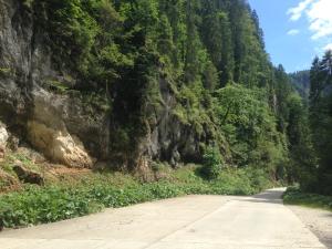 HănăşeştiMoara Lui Ivan的相册照片