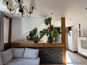 a living room with a couch and potted plants at Studio Lec in Giżycko