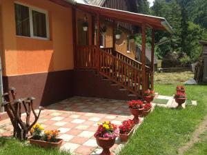 HănăşeştiMoara Lui Ivan的相册照片