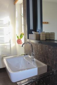 a white sink in a bathroom with a mirror at Quartier im Eltvinum in Eltville