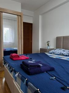 a bedroom with a bed with blue sheets and a mirror at Rest apartment Niksic in Nikšić