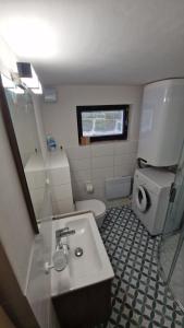 a small bathroom with a sink and a toilet at Chalupa Kruh in Doksy +23 photos