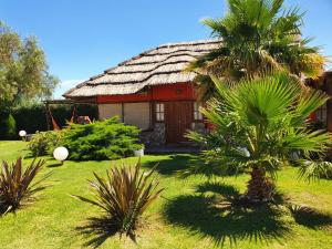 a house with a palm tree in front of it at Cabañas Villa Lounge in San Rafael